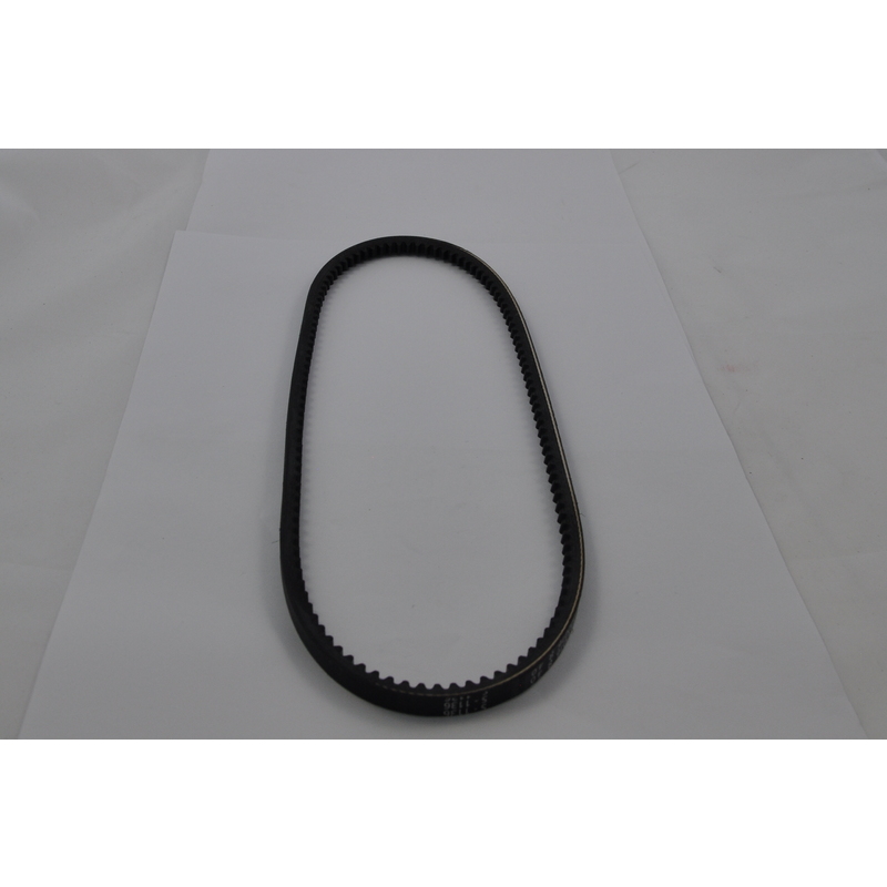 Alamarin Drive belt 10  x 800