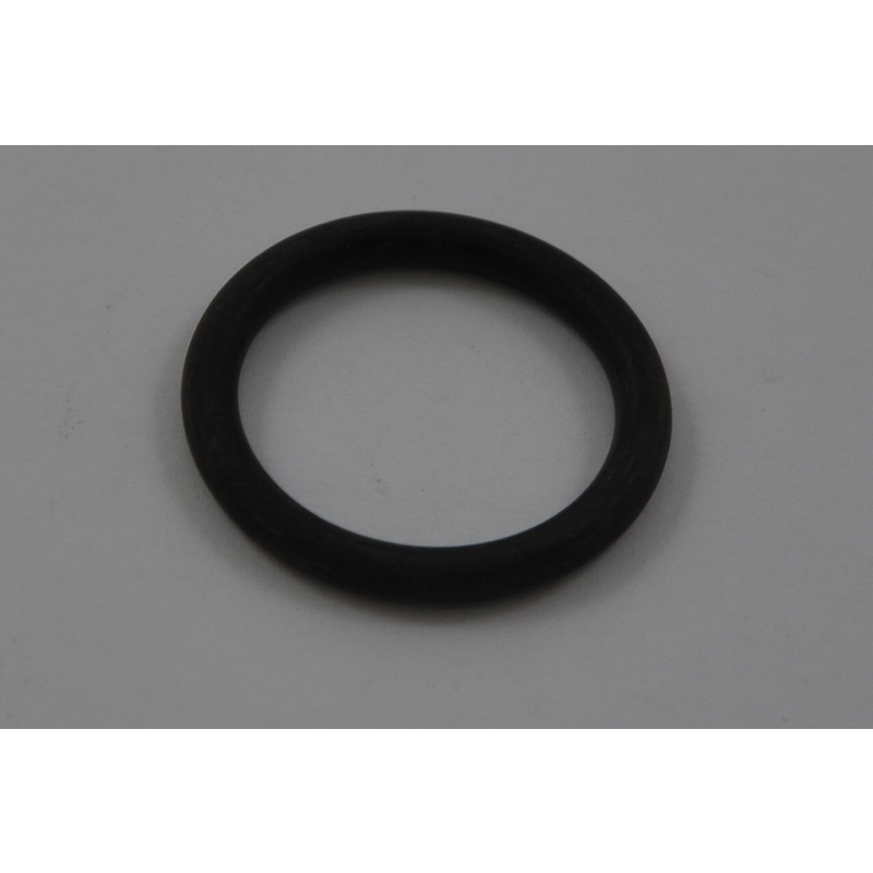 ZF O-Ring